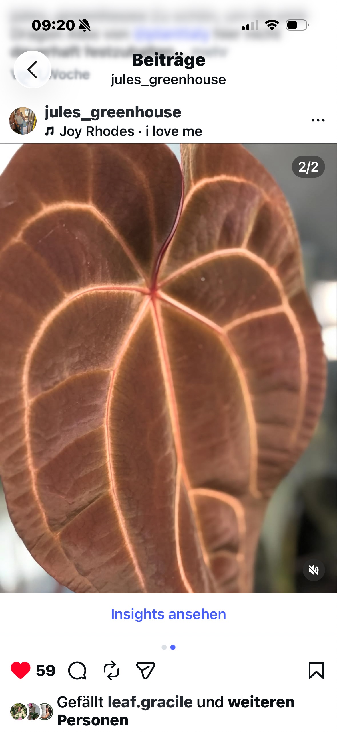 Zara x RVC Cutting III